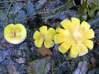 27011151_s.jpg