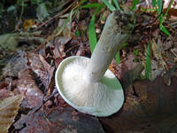 27012137_s.jpg