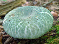 27165620_s.jpg