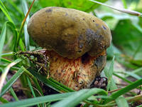 27165698_s.jpg