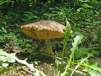 27165697_s.jpg