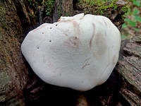 27165743_s.jpg