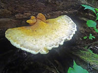 27165742_s.jpg