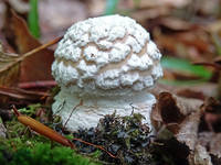 27165842_s.jpg