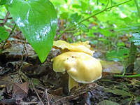 27325845_s.jpg
