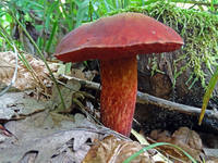 27410968_s.jpg