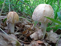 27411146_s.jpg