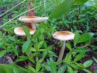 27580741_s.jpg