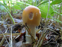 27580740_s.jpg