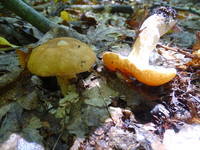 27581149_s.jpg