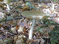 27581173_s.jpg