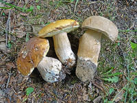 27695360_s.jpg