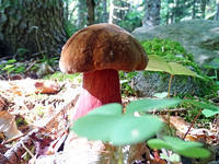 27695408_s.jpg