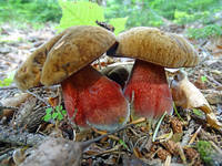 27695410_s.jpg