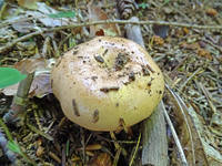 27714248_s.jpg