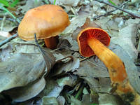 27724144_s.jpg