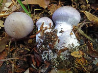 27724148_s.jpg