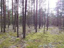 27975067_m.jpg