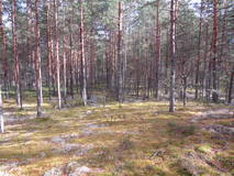27975071_m.jpg