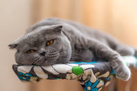 29061243_s.jpg