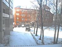 29339124_s.jpg