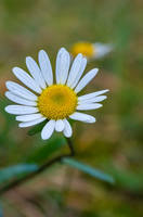 29431010_s.jpg