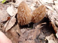 30267344_s.jpg