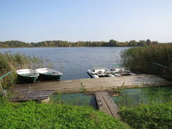 31796159_m.jpg