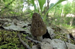34541488_m.jpg