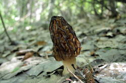 34541491_m.jpg