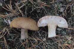 36011870_m.jpg
