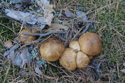 36011926_m.jpg