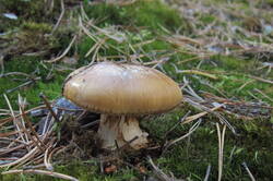 36011928_m.jpg