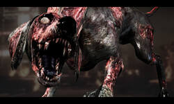Zombie_Dog_C.jpg