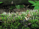 0_8f87c_b157370e_S.jpg