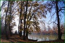 0_c5d25_5bfdc9a8_orig.jpg