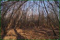 0_c5d2d_2ec282e4_orig.jpg