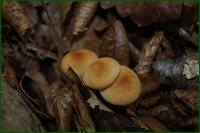 0_c19ef_3843cbe4_orig.jpg
