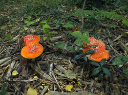 0_c2241_9f6c2723_M.jpg