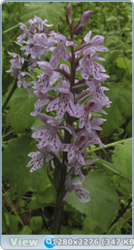 0_e6d32_3b13a29a_orig.png