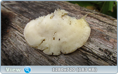 0_112208_c72861cf_orig.png