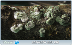 0_11d42a_14a4df3b_orig.png