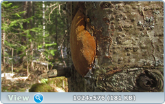 0_1375eb_fc413fe7_orig.png