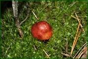 0_eaef6_8779ebc2_orig.jpg