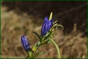0_eaf06_85b1aa8e_orig.jpg
