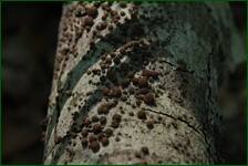 0_eded8_7093d912_orig.jpg