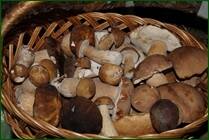 0_ef883_d04e0555_orig.jpg
