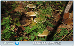 0_112b2b_9e86f756_orig.png