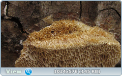 0_123d8d_7b9966b5_orig.png