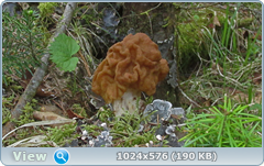 0_127eb4_9a18d9e5_orig.png